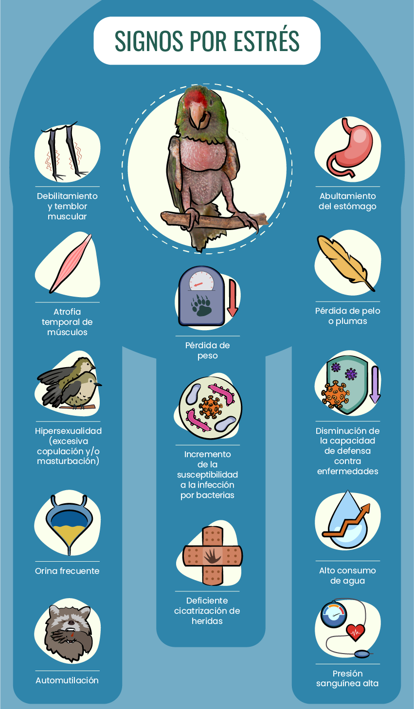 Infografía signos de estrés